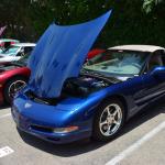 StElizabeths_0030 (June 26, 2015)